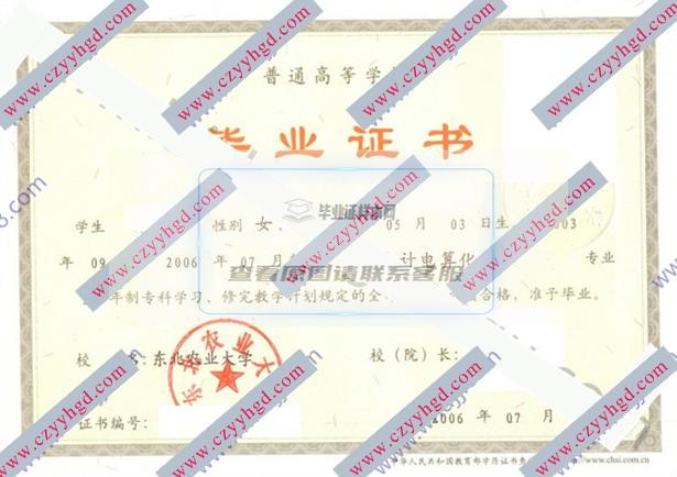 2006年东北农业大学毕业证样本（会计电算化）