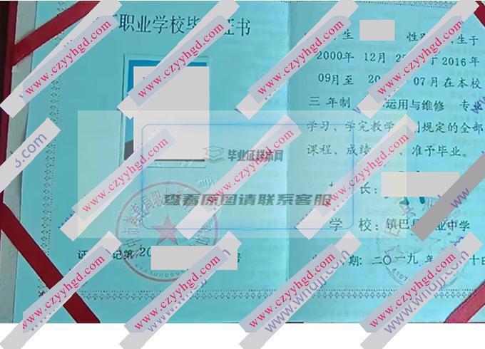 2019年陕西省镇巴县职业中学中专毕业证样本