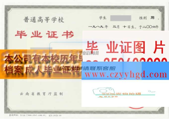 云南爱因森软件职院毕业证书及院长档案样本展示