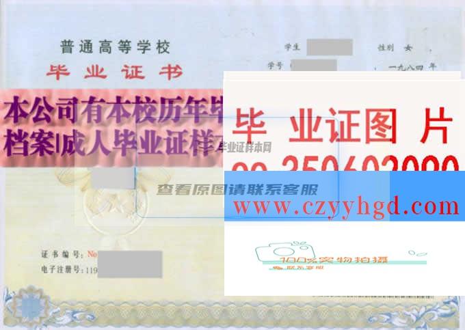 上海應用技術學院畢業證書及成績單樣本一覽