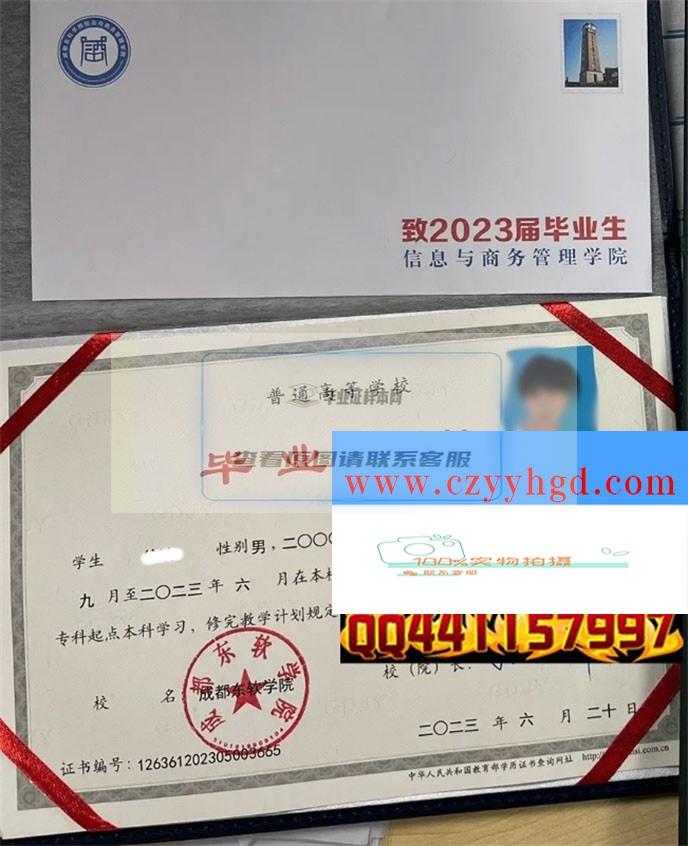 成都东软学院成绩单毕业证档案学位证样本