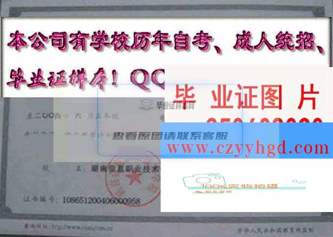 湖南信息职业技术学院毕业资料样本集锦