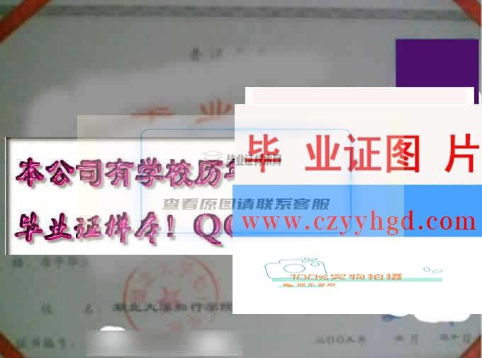 湖北大学知行学院毕业证书样本及成绩单、档案、学位证样式