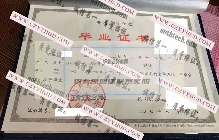 山东青年政治学院毕业证样本