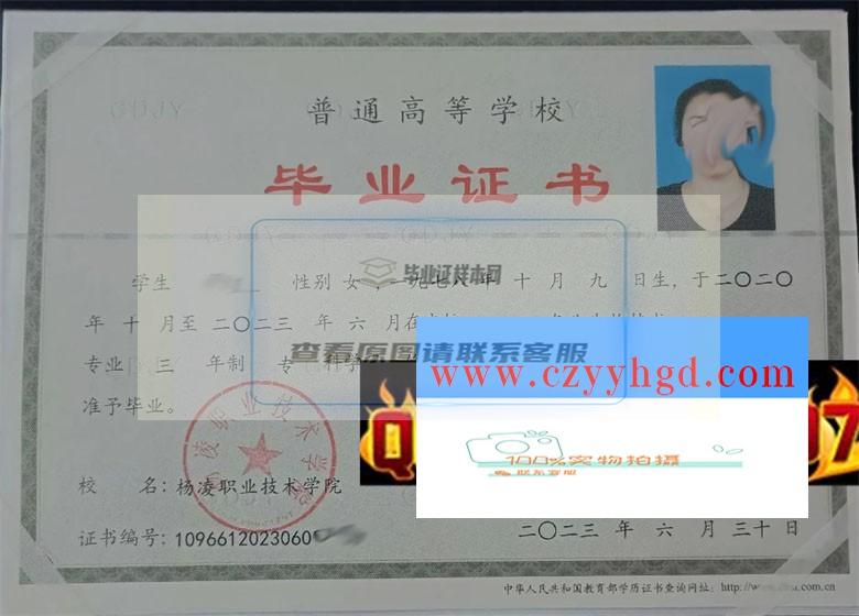 杨凌职业技术学院成绩单样本及毕业证学位证原版高清档案