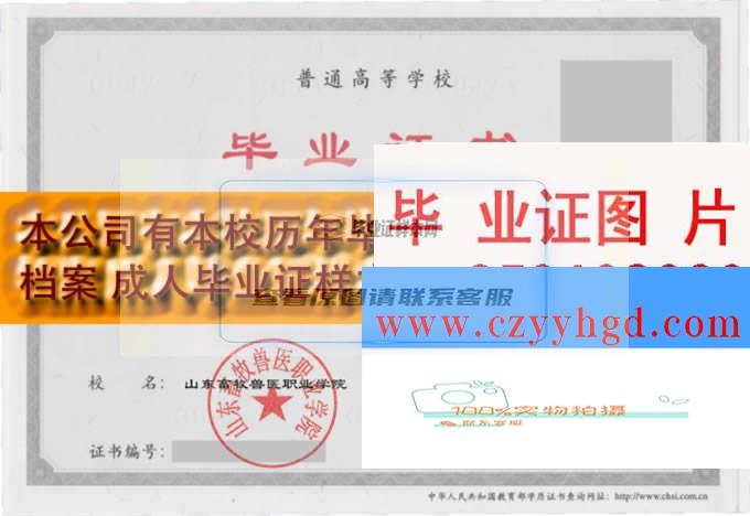 山東畜牧獸醫職業學院畢業證書樣本及學位證圖片查詢