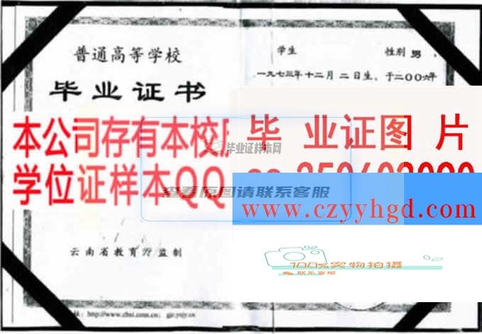 大理学院毕业证书及学位证样本一览