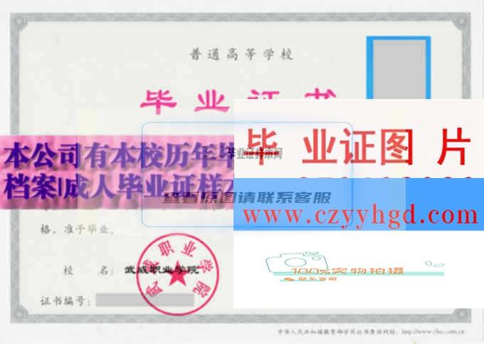 您的位置：武威職業學院畢業證樣本一覽 學院領導檔案展示