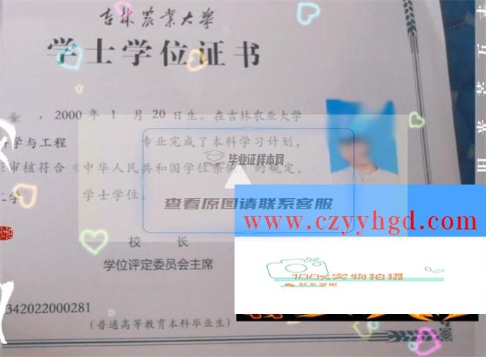 吉林农业大学成绩单毕业证档案学位证样本