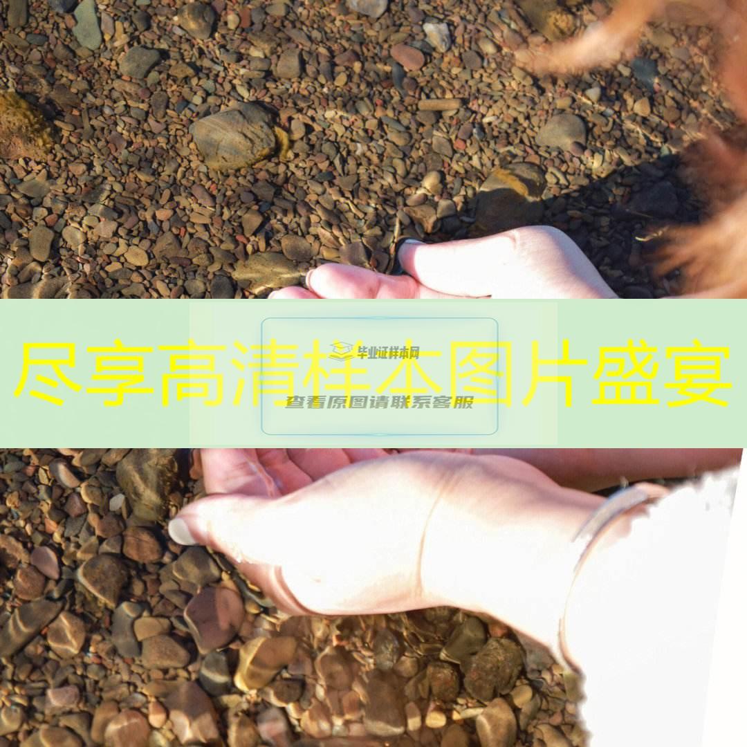 廊坊市中專（職中）畢業證樣本圖片—中專（職中）學校名單