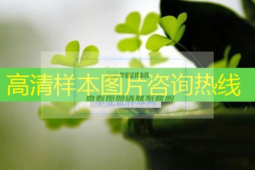 济宁市中专（职中）毕业证样本图片—中专（职中）学校名单