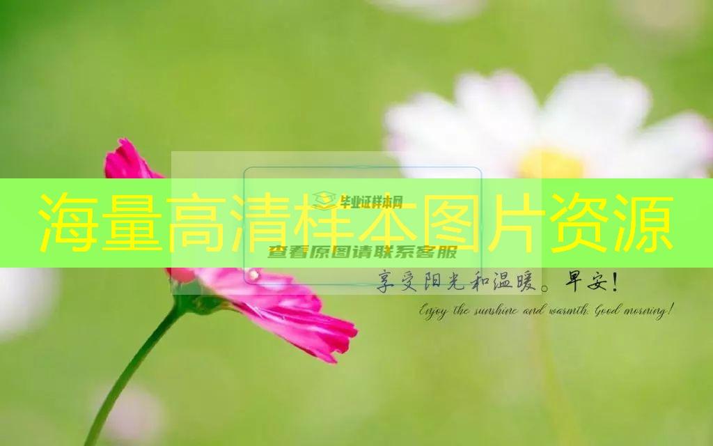 济宁市中专（职中）毕业证样本图片—中专（职中）学校名单
