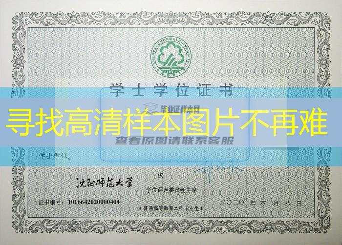 沈陽師范大學學士學位證書樣本補辦流程