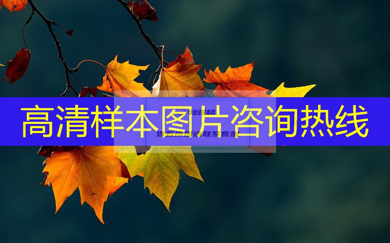 葫蘆島市高中畢業證樣本圖片—高中學校名單