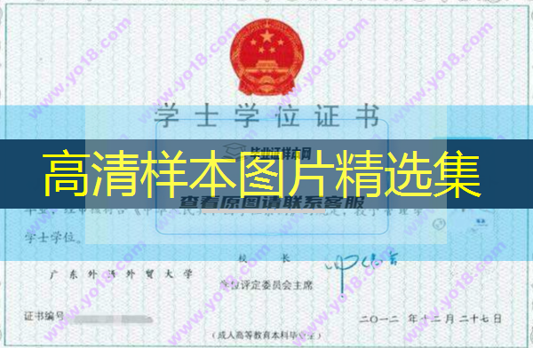 广东外语外贸大学学位证书丢了怎么补