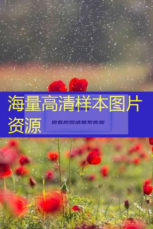 遼陽市中專（職中）畢業證樣本圖片