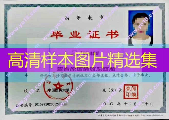 中國醫科大學本科畢業證丟了有真實資料辦一個畢業證可以嗎？