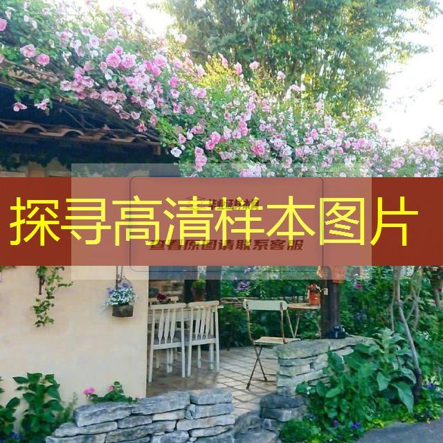 濟寧市高中畢業證樣本圖片—高中學校名單