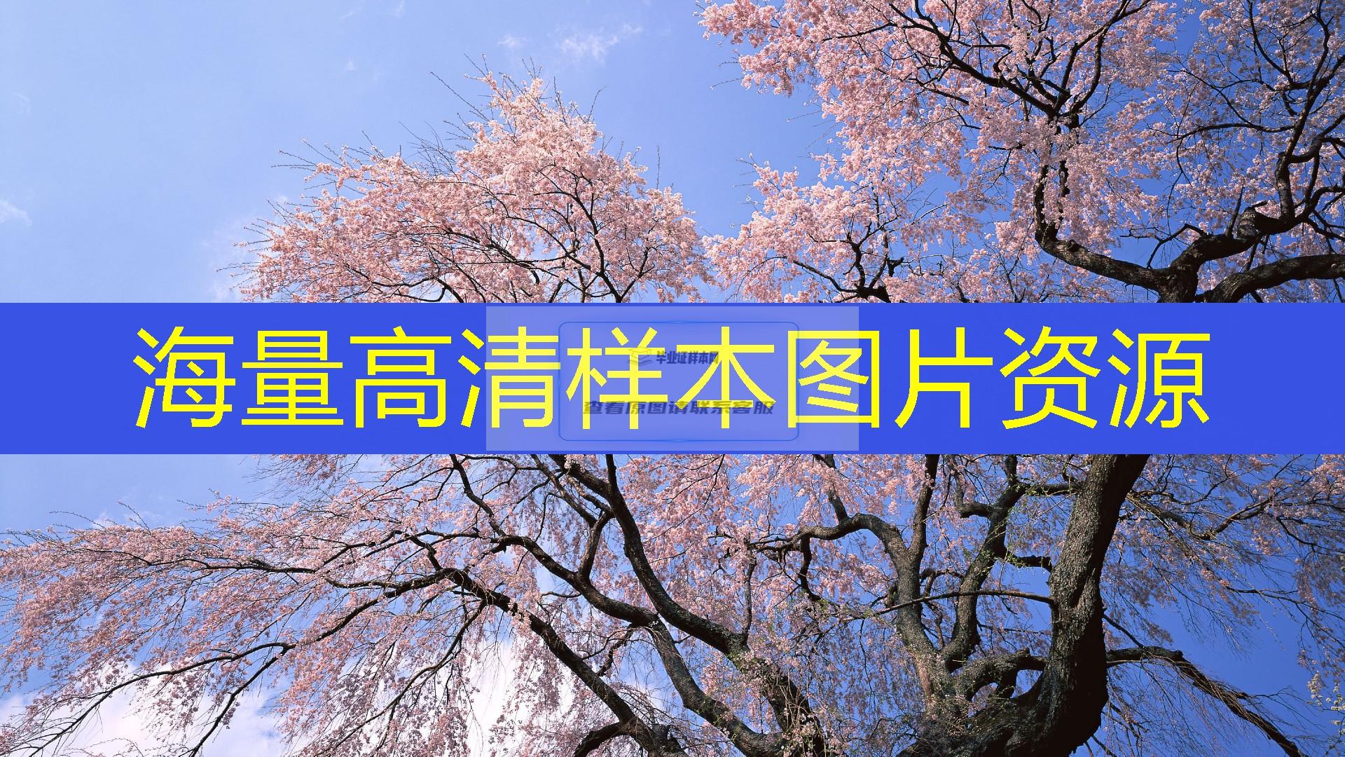 中南財經政法大學本科畢業證樣本圖片