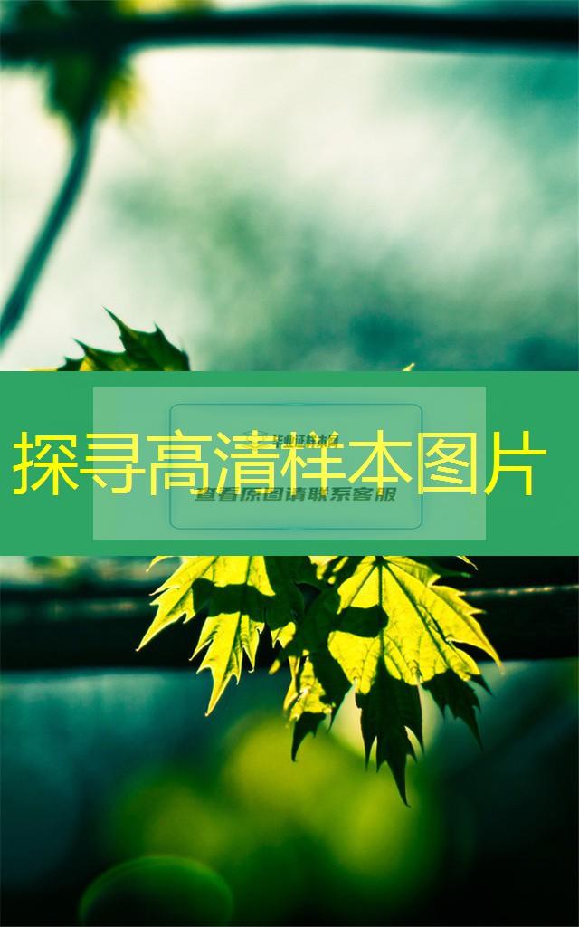 中南財經政法大學本科畢業證樣本圖片