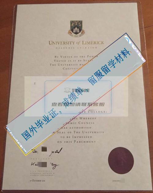 利莫瑞克大學2.jpg
