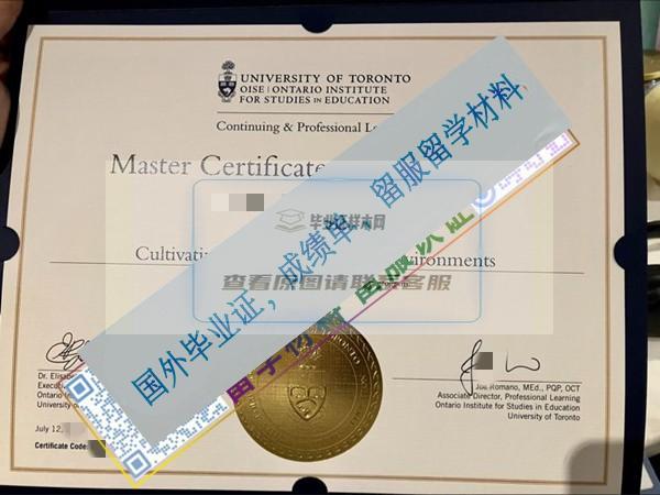 安大略教育研究院The Ontario Institute for Studiesin Education_副本.jpg