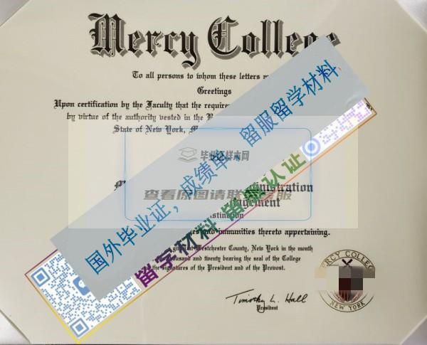 默西學院Mercy College_副本.jpg