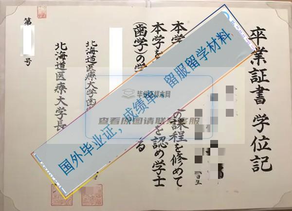 日本北海道醫療大學學位記樣本