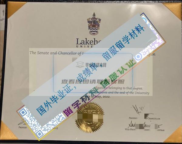湖首大學lakehead university_副本.jpg