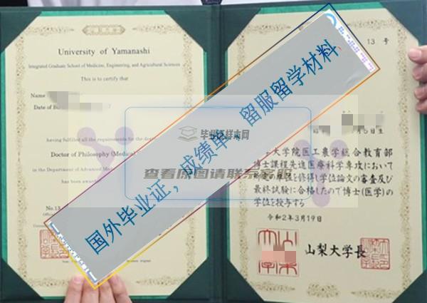 山梨大學University of Yamanashi學位記樣本