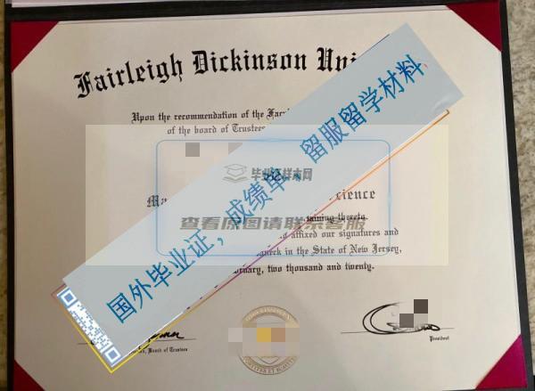 費爾萊迪金森大學 Frleigh Dickinson University _副本.jpg
