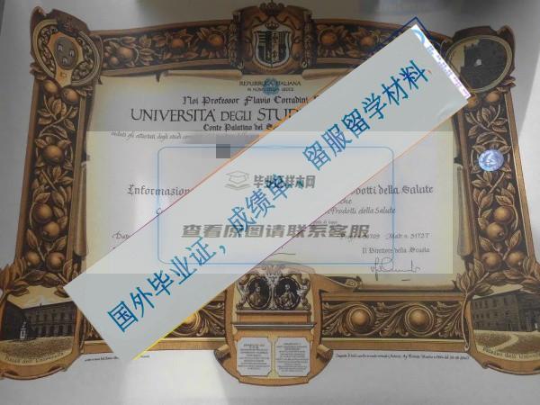 卡梅里诺大学Università di Camerino毕业证样本