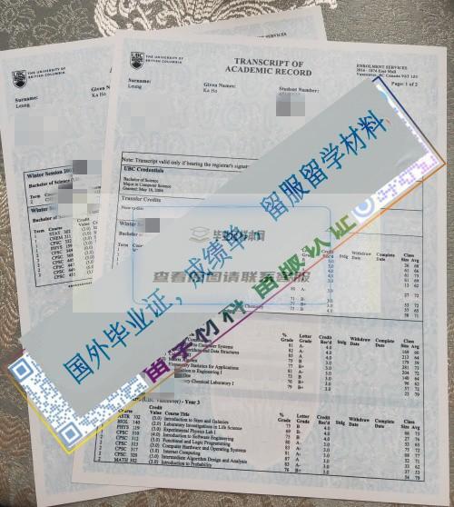讓你的簡歷脫穎而出：英屬哥倫比亞大學UBC成績單定制技巧
