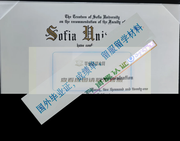 索菲亞大學Sofia University_副本.png