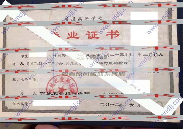2012年吉林農業科技學院畢業證樣本
