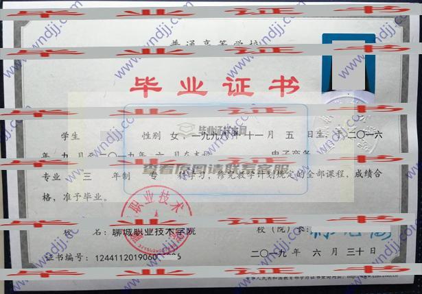 聊城職業技術學院畢業證樣本：傳承百年文化，培養未來之星